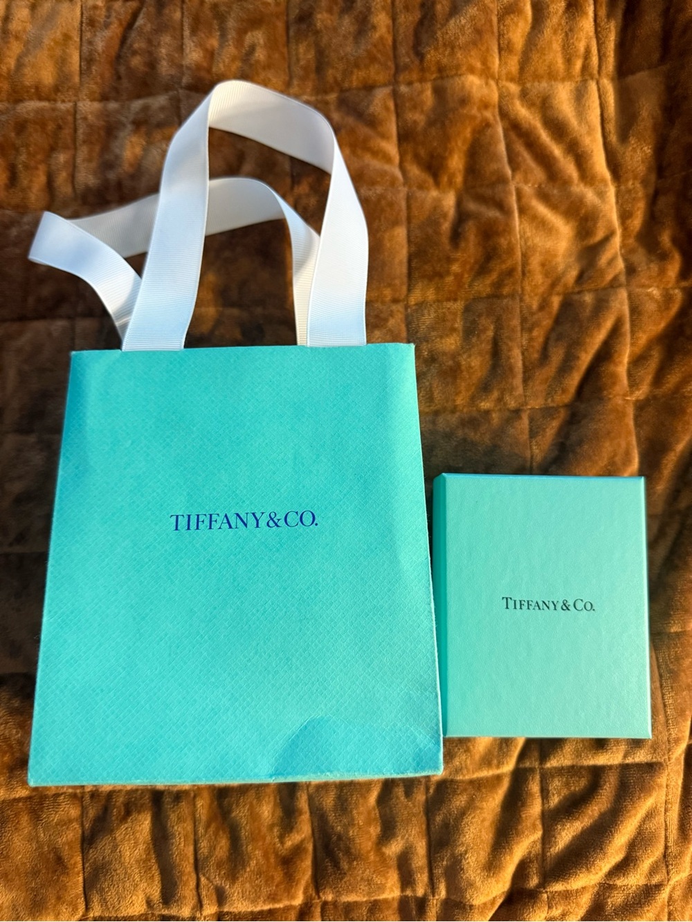 Tiffany & Co. Blue Gift Bag and Box Set